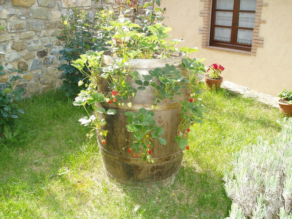 Agriturismo Podere Micitto Usi Exteriér fotografie